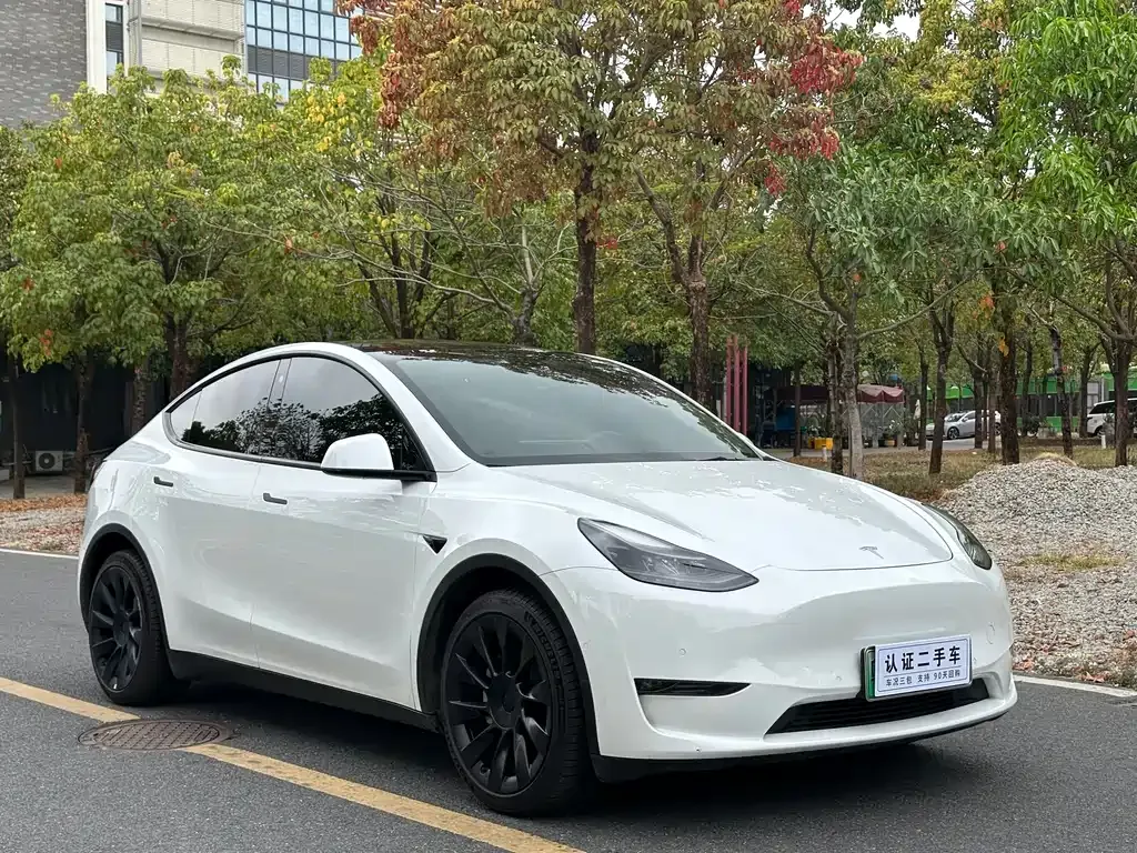 Tesla Model Y — фото 8