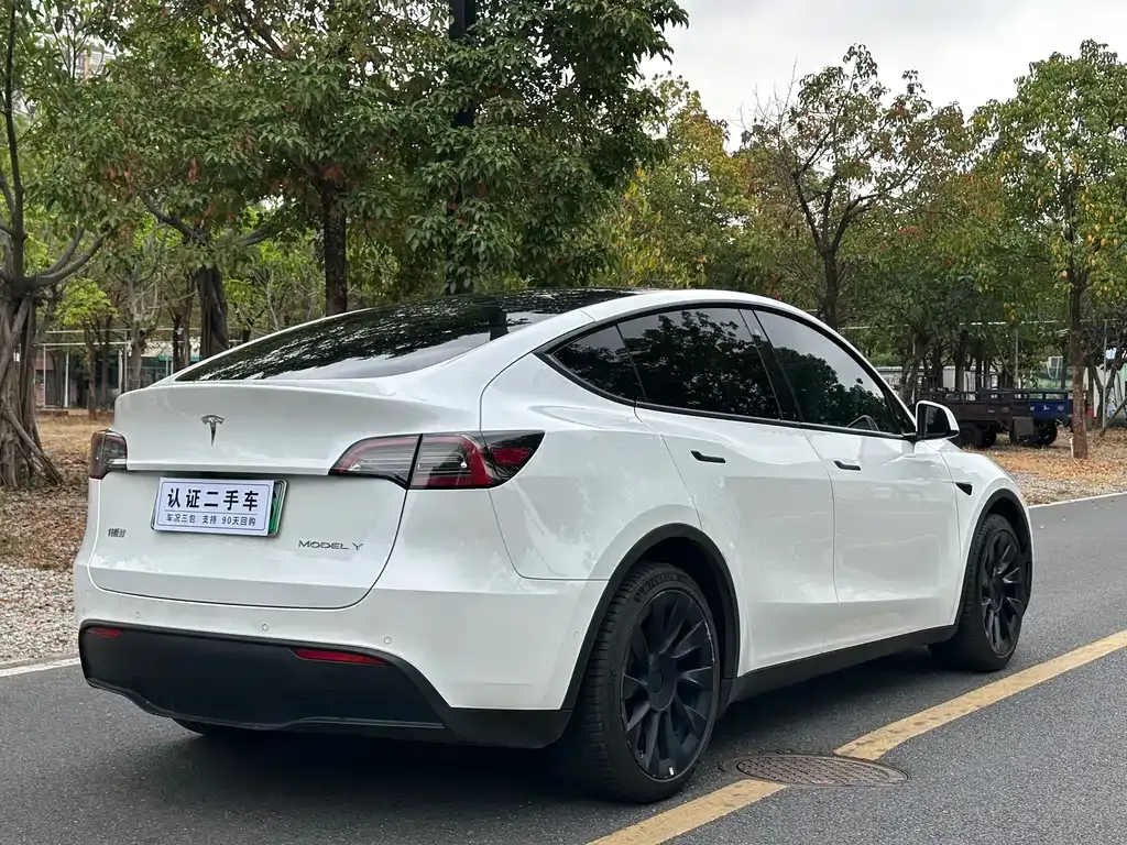Tesla Model Y — фото 9