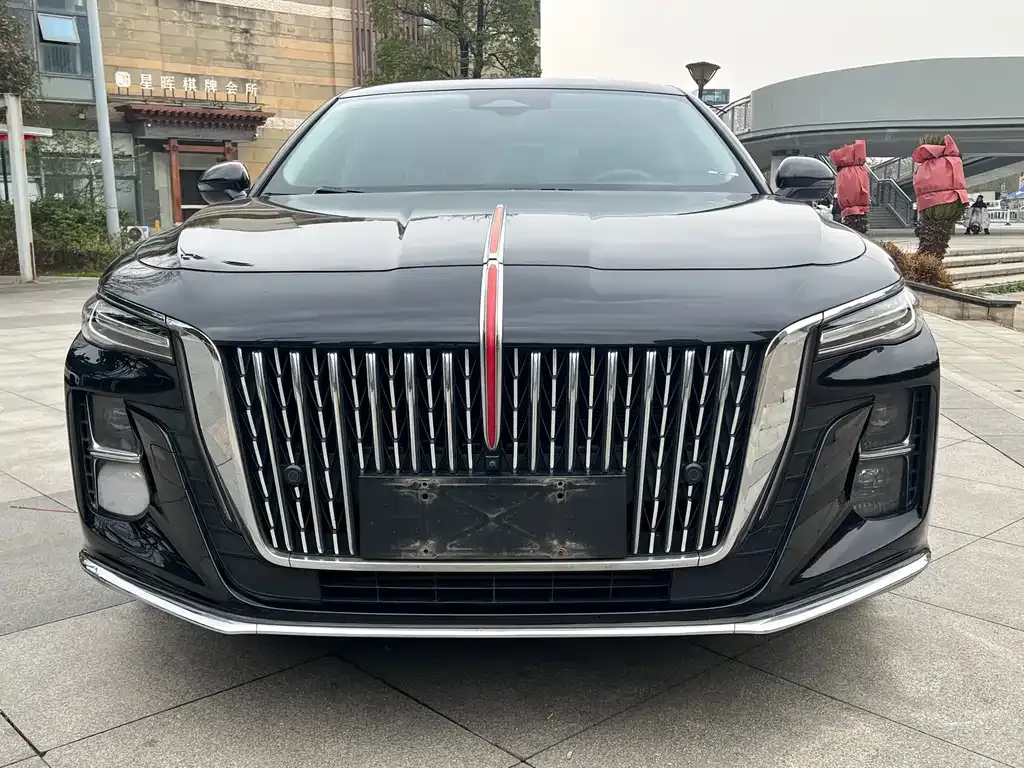 Hongqi H5 2023 из CN, фото 2