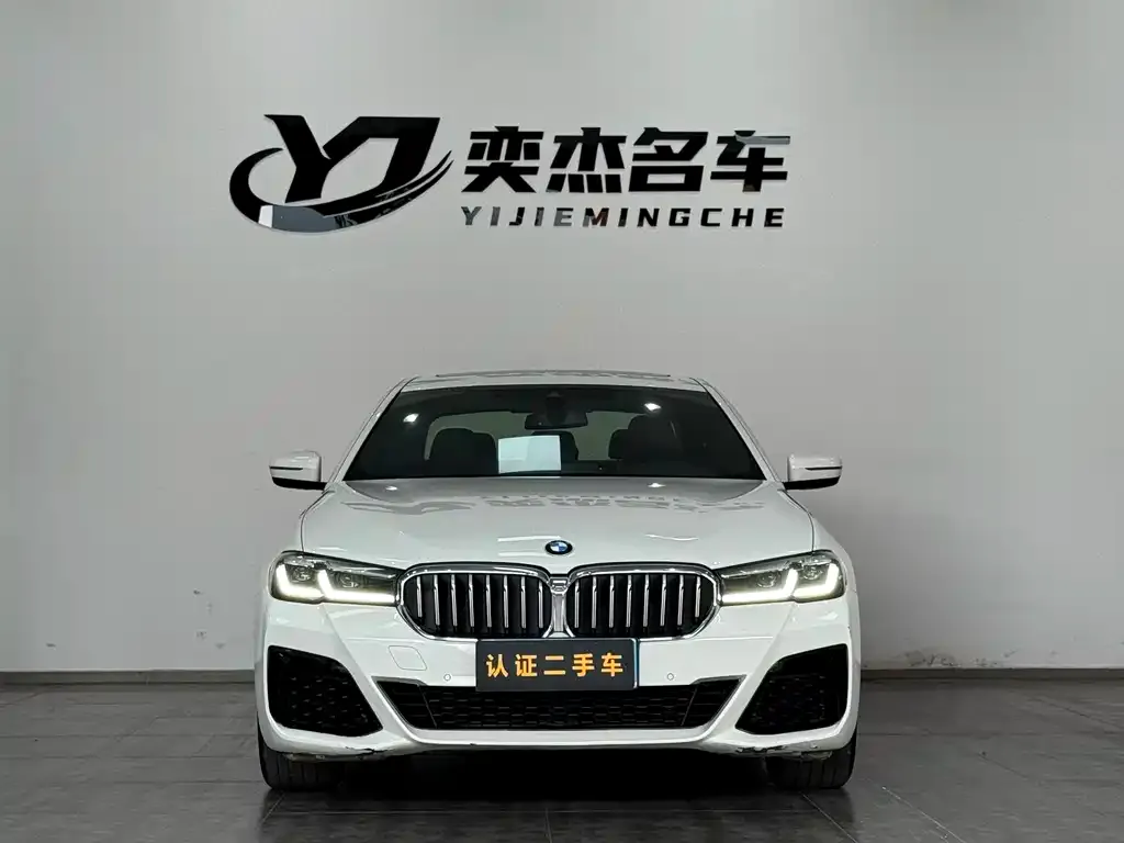 BMW 5 Series (Import) 2021 из CN, фото 2