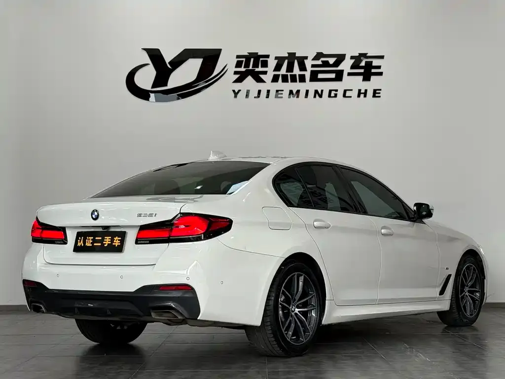 BMW 5 Series (Import) 2021 из CN, фото 8