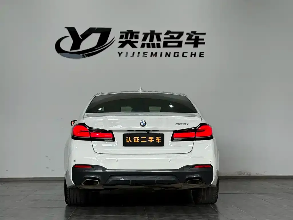 BMW 5 Series (Import) 2021 из CN, фото 6
