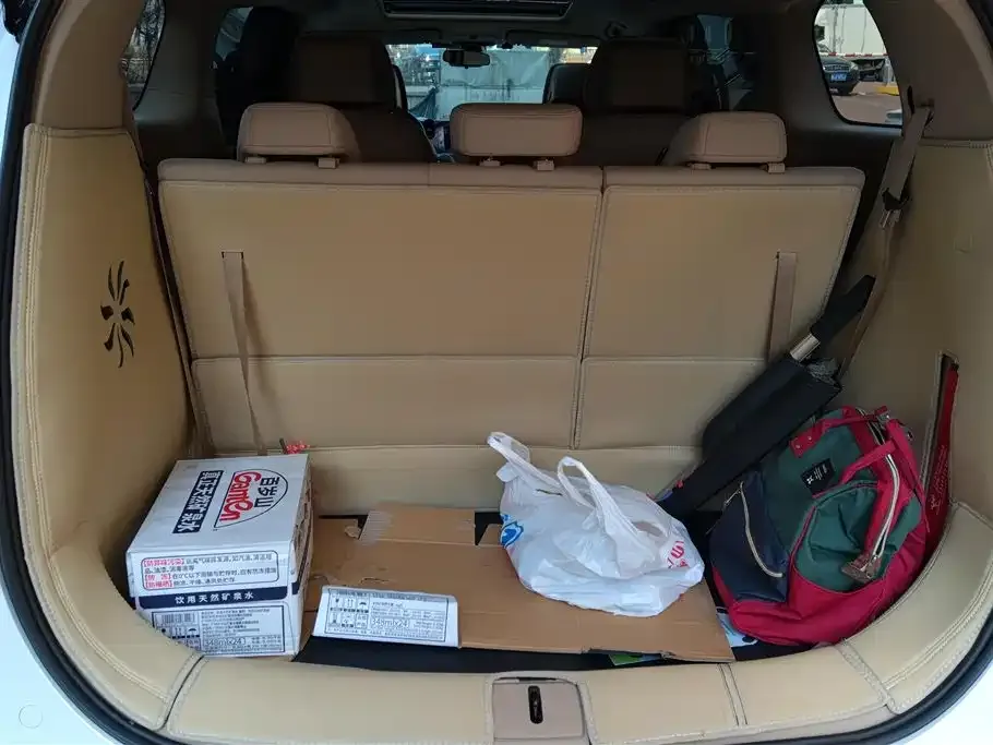 Buick GL8 Hybrid 2025 из CN, фото 4