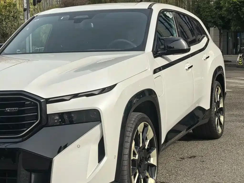 BMW XM 2025 из CN, фото 7