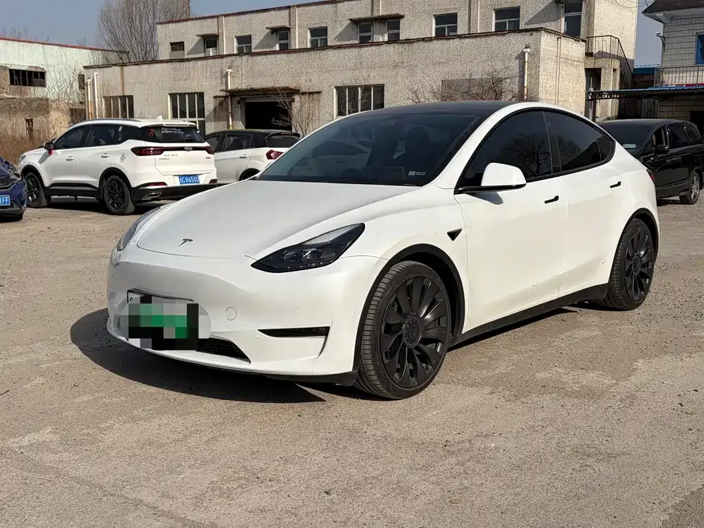 Tesla Model Y — фото 1