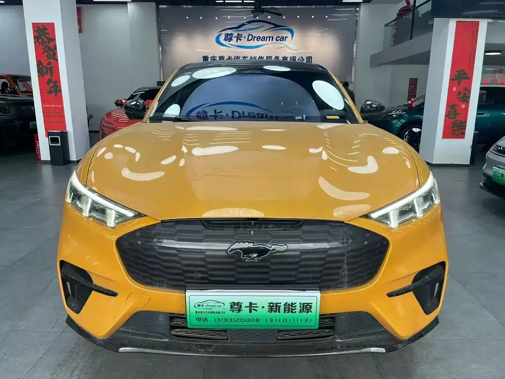 Ford Mustang Mach-E 2024 из CN, фото 4