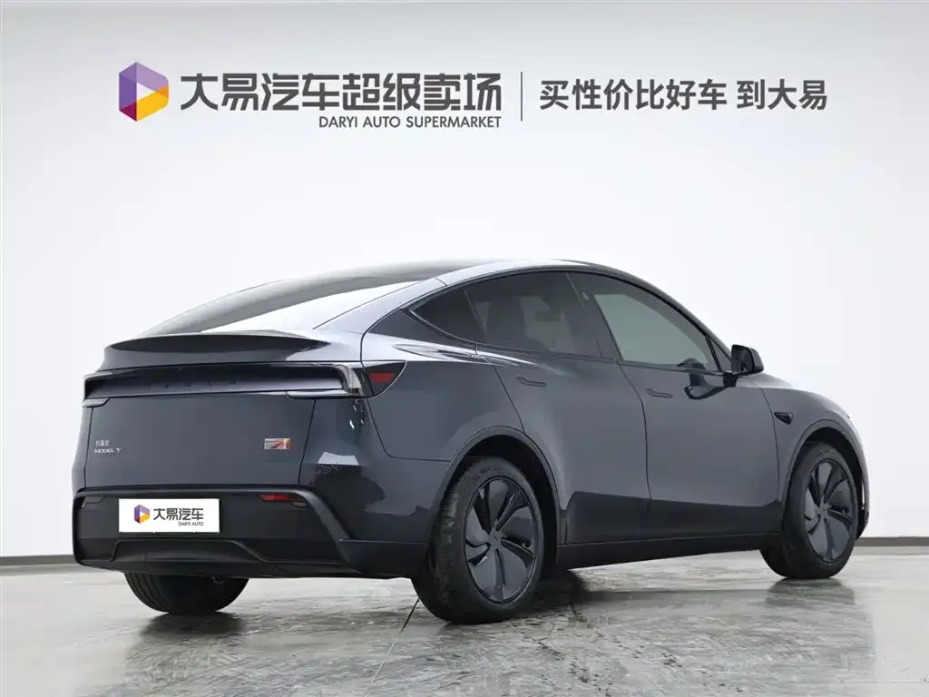 Tesla Model Y — фото 10