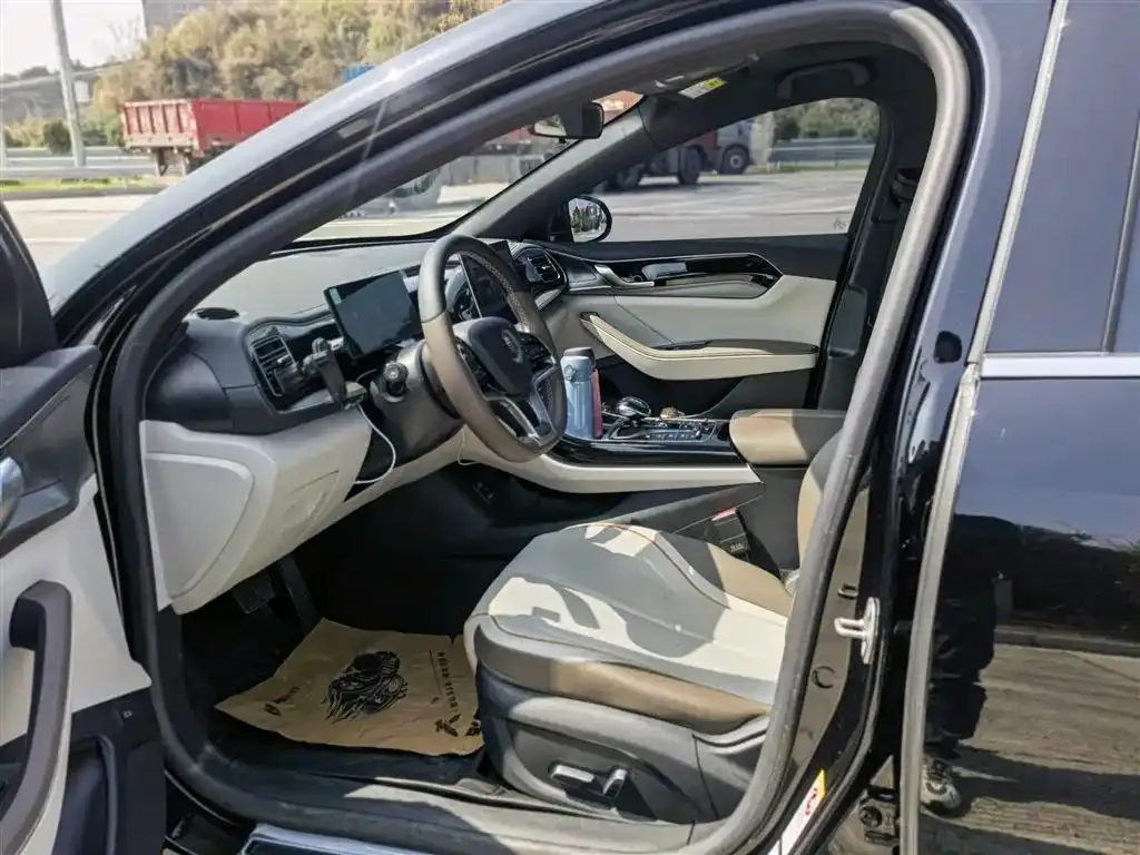BYD Qin PLUS — фото 10