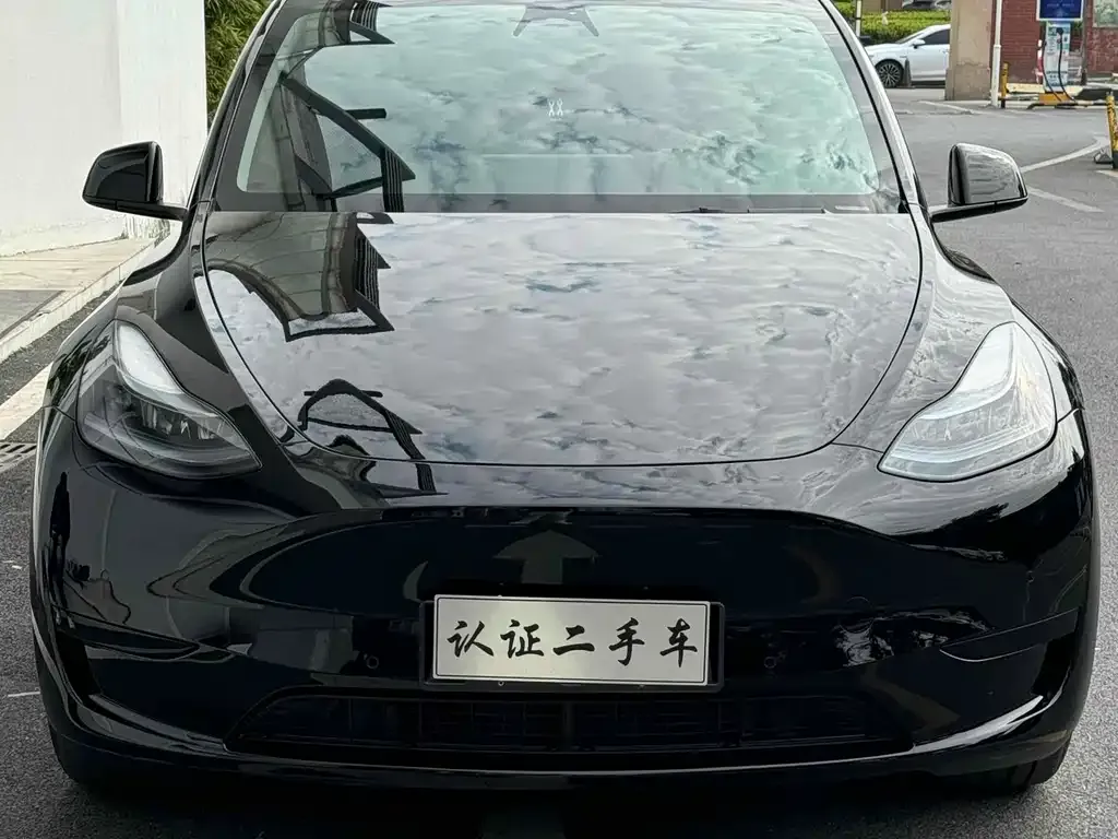 Tesla Model Y — фото 8