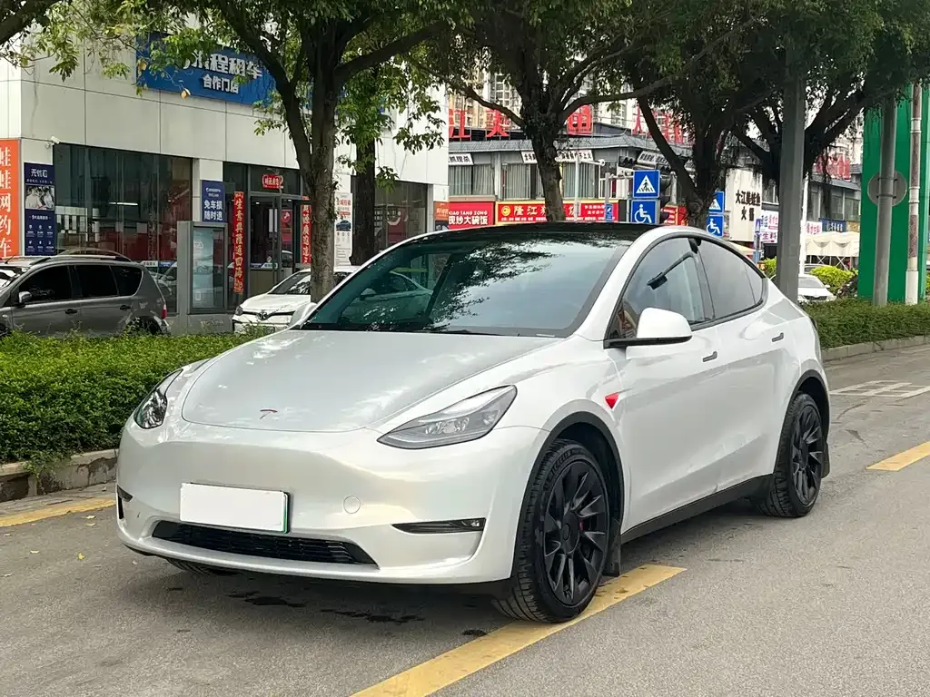 Tesla Model Y — фото 1