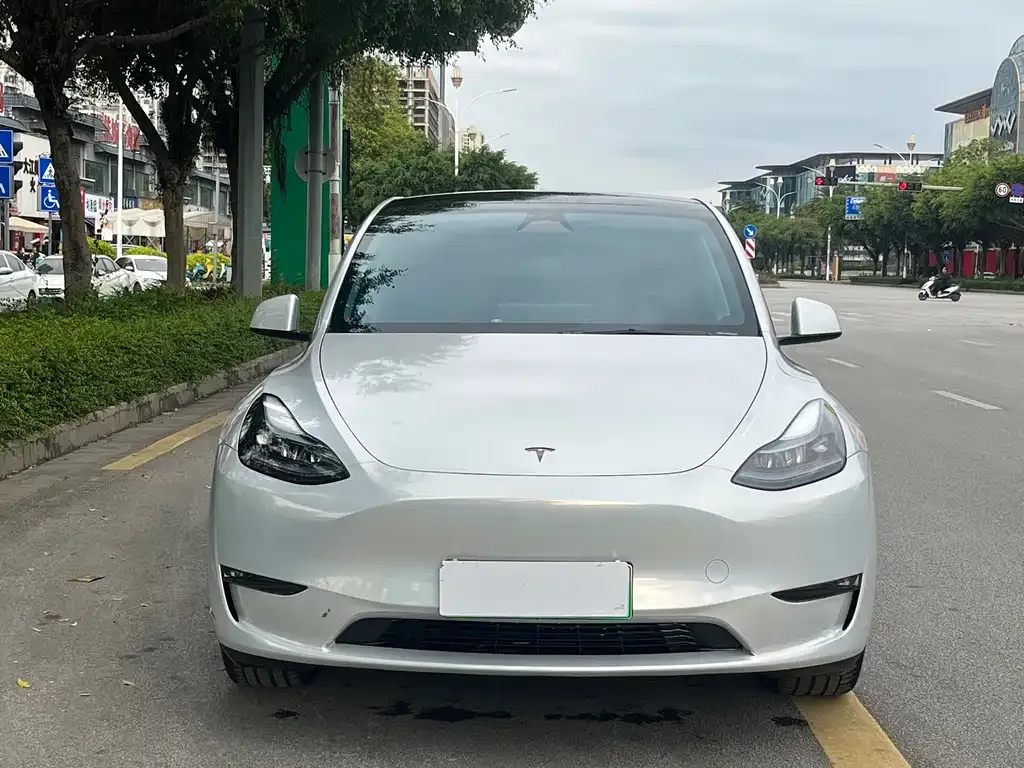 Tesla Model Y — фото 8