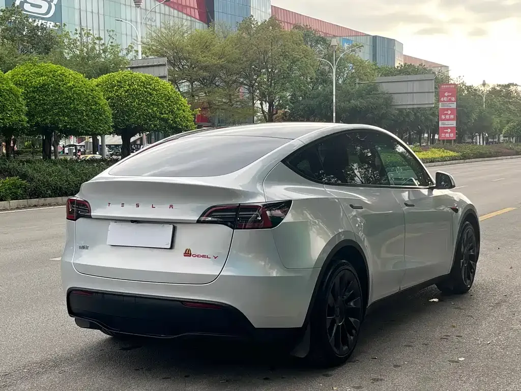 Tesla Model Y — фото 6