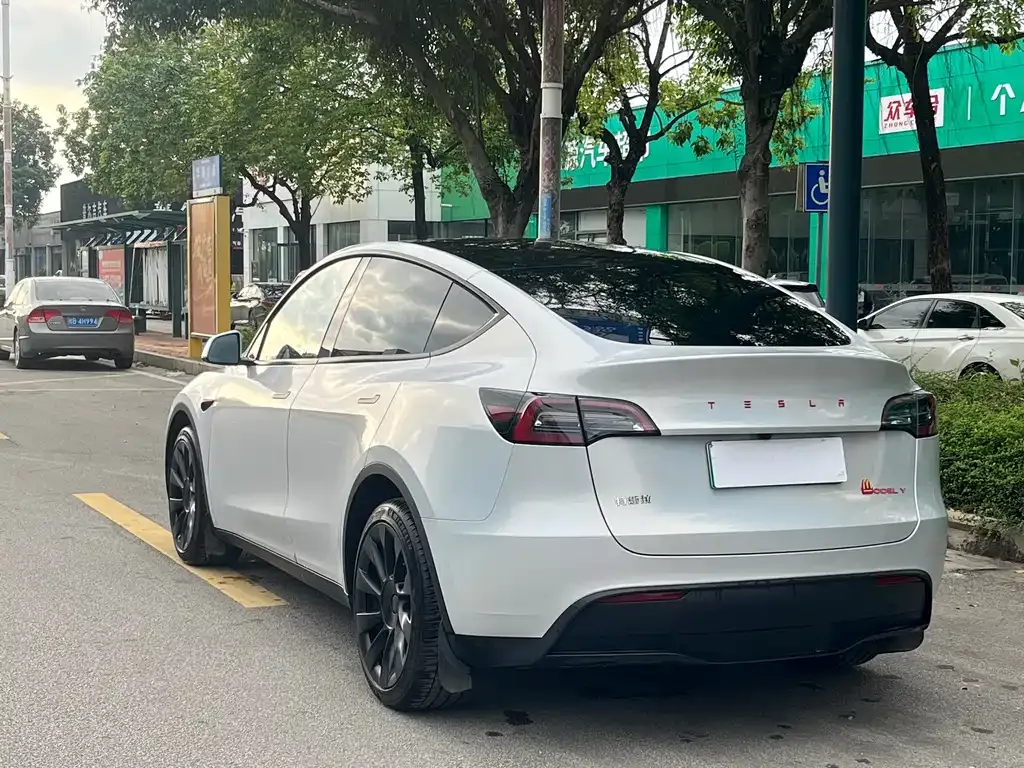 Tesla Model Y — фото 10