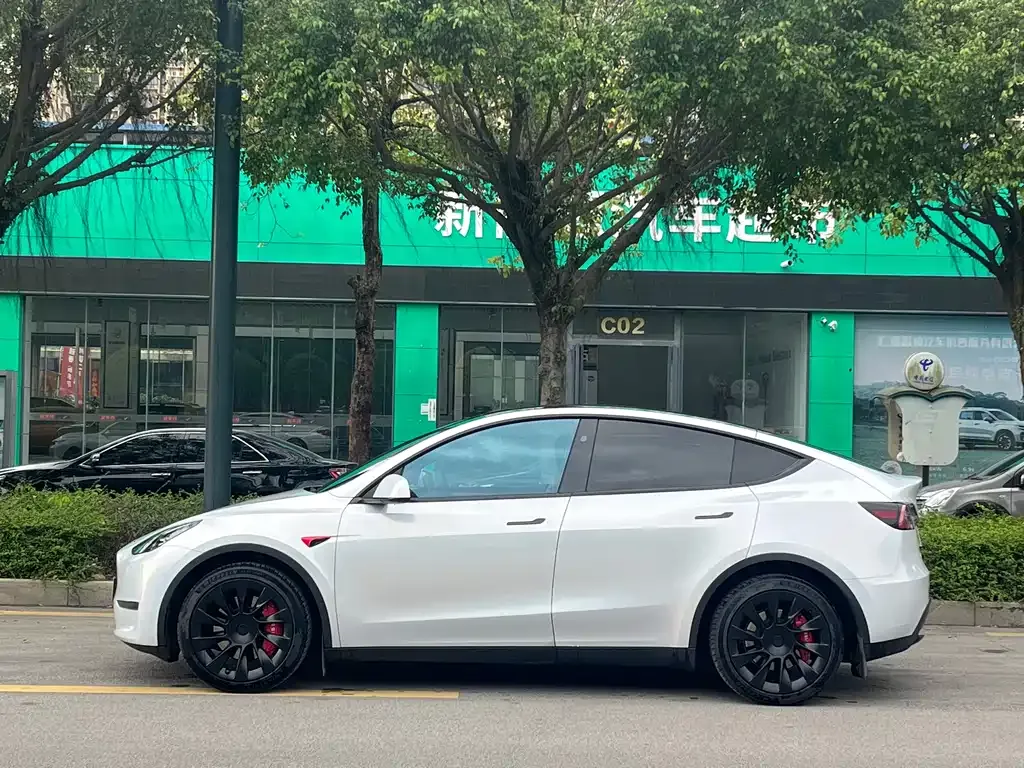 Tesla Model Y — фото 9