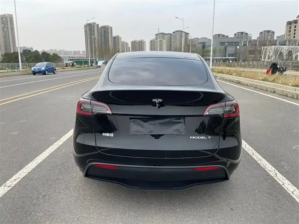 Tesla Model Y — фото 3