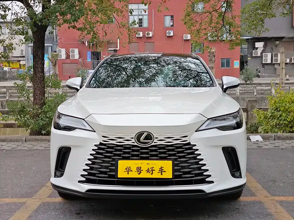 Lexus RX — фото 10