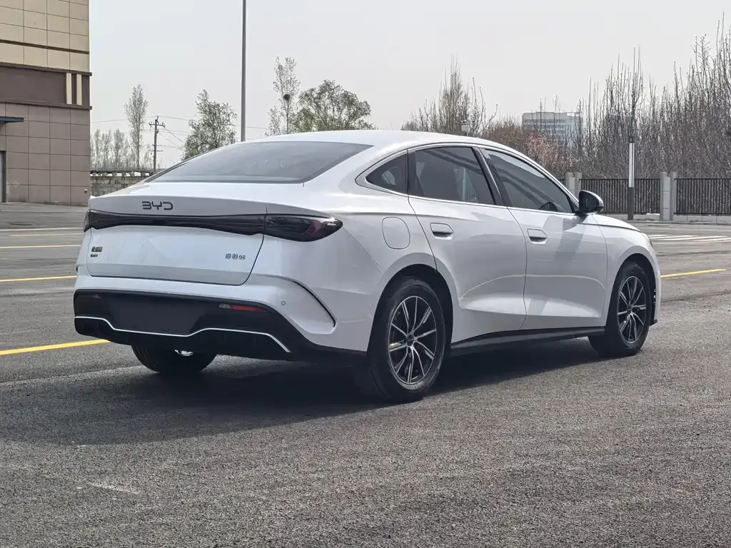 BYD Seal 06 2024 из CN, фото 10