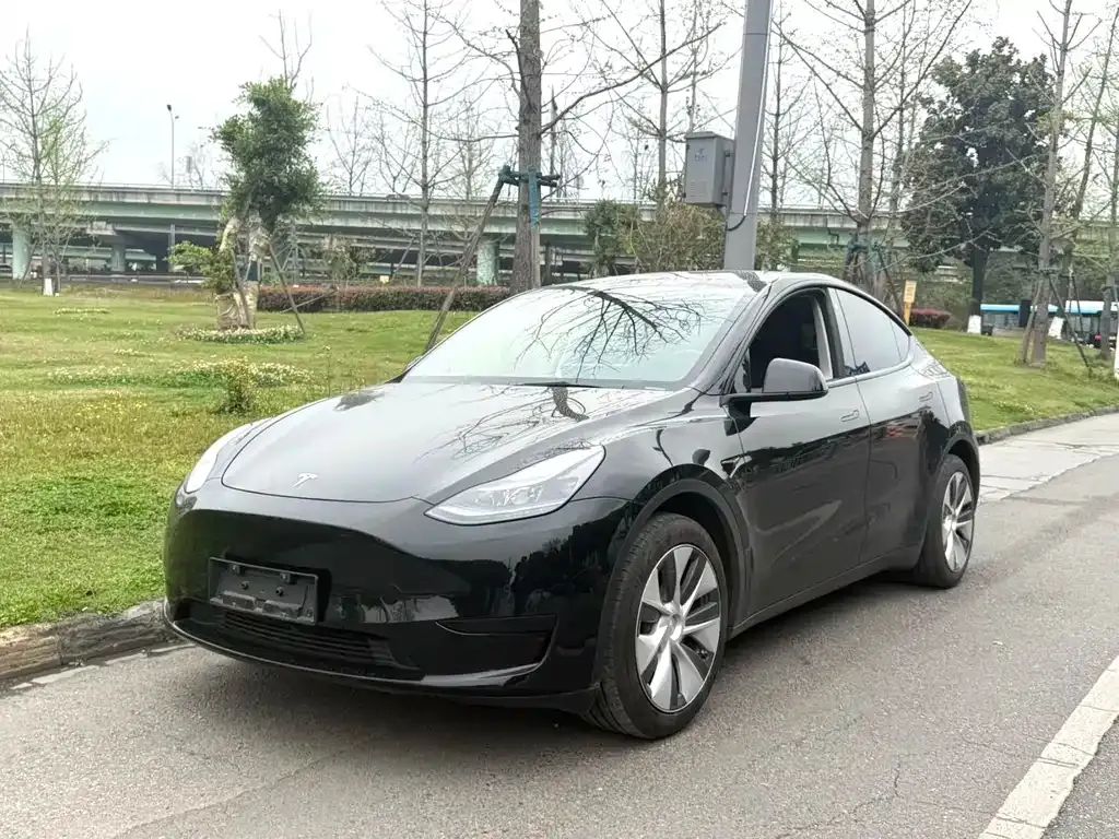 Tesla Model Y — фото 1