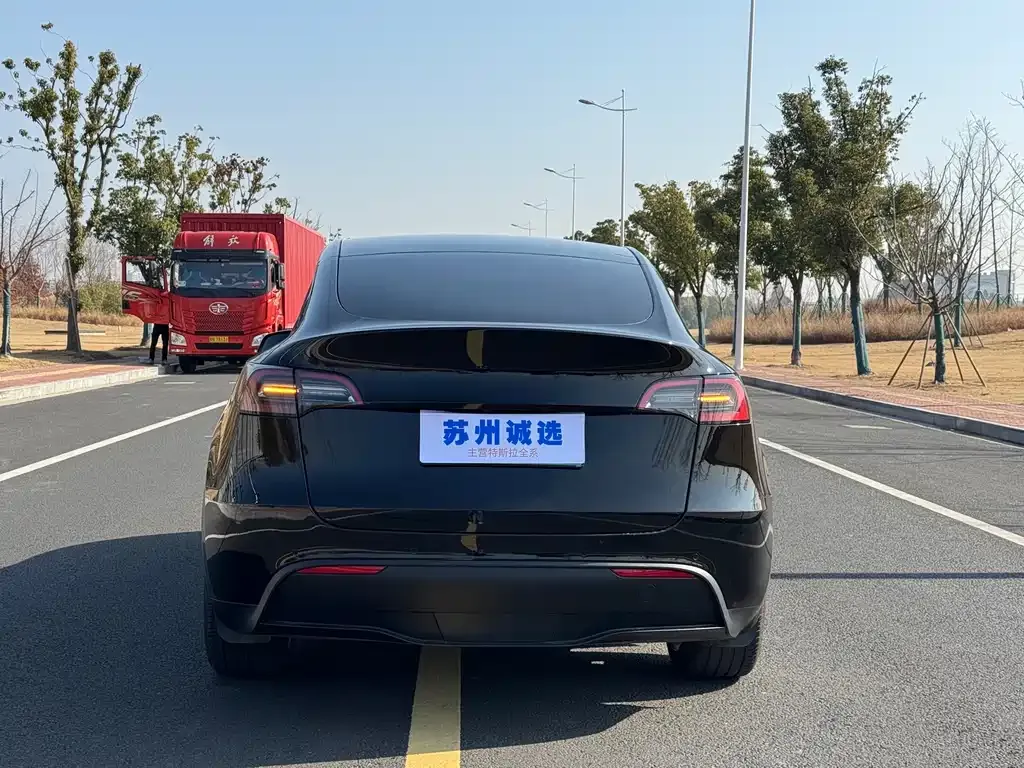 Tesla Model Y — фото 6