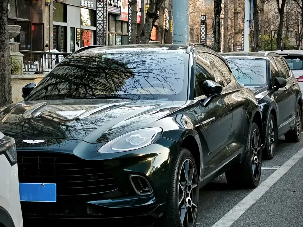 Aston Martin DBX 2021 из CN, фото 6