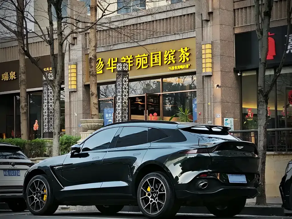 Aston Martin DBX 2021 из CN, фото 7