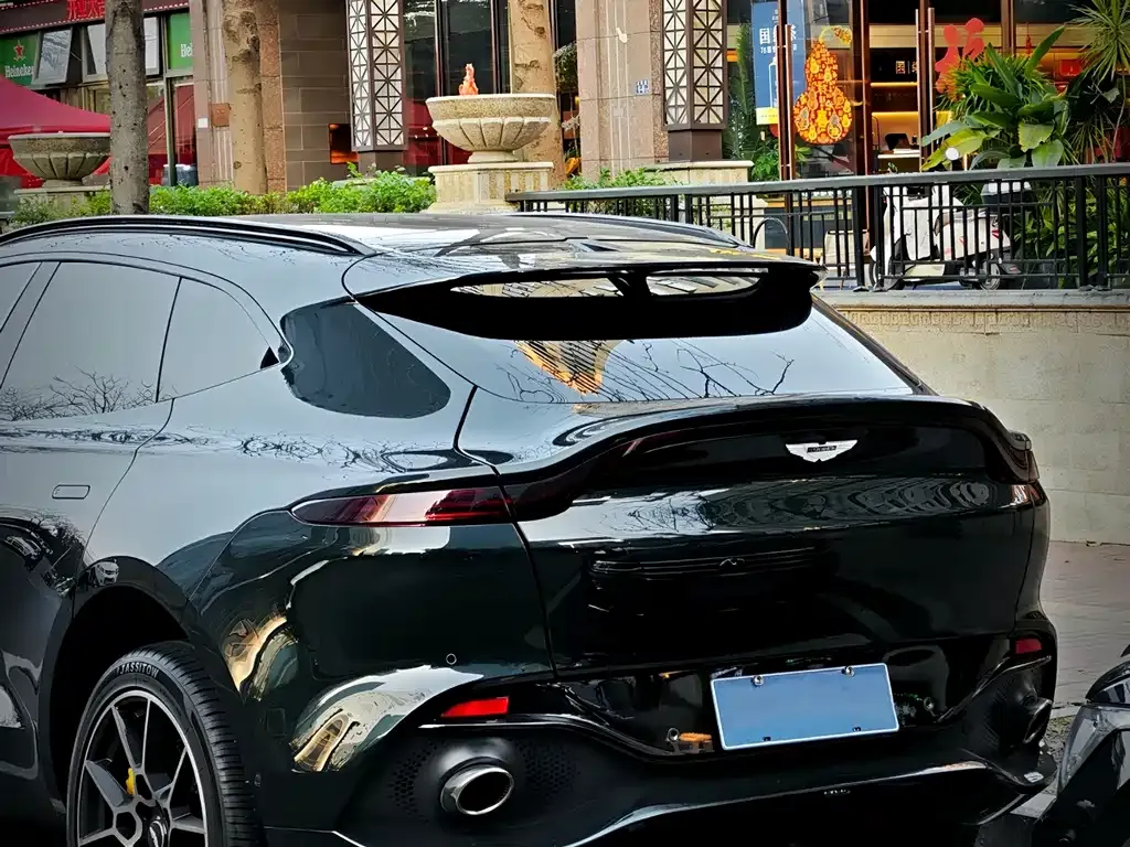 Aston Martin DBX 2021 из CN, фото 5