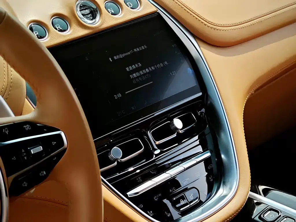 Aston Martin DBX 2021 из CN, фото 10