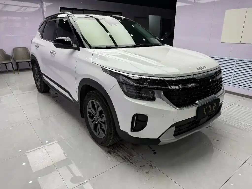 Kia Seltos 2023 из CN, фото 9