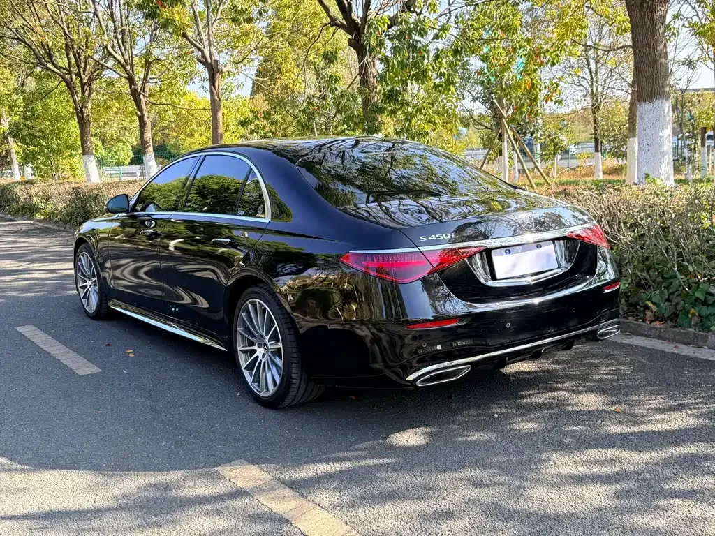 Mercedes-Benz S-Class 2021 из CN, фото 9