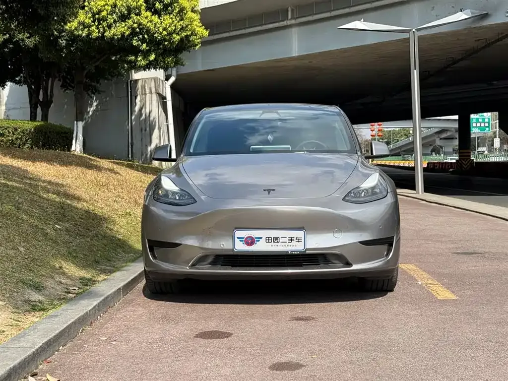 Tesla Model Y — фото 9