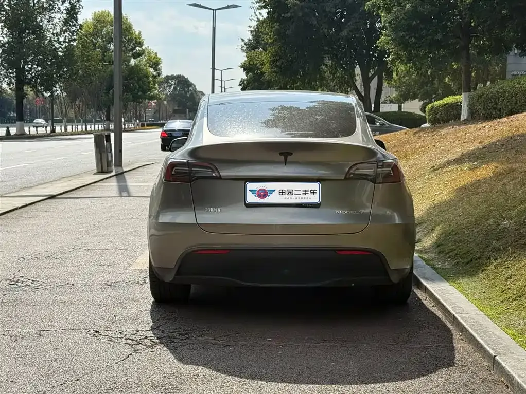Tesla Model Y — фото 7