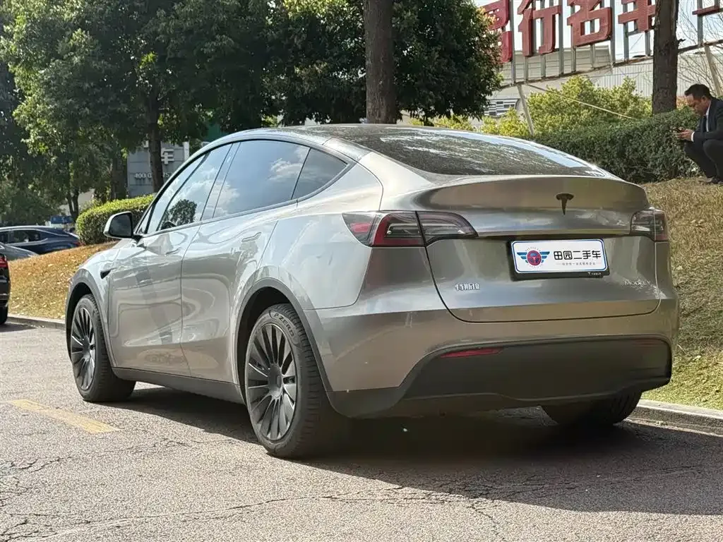 Tesla Model Y — фото 8