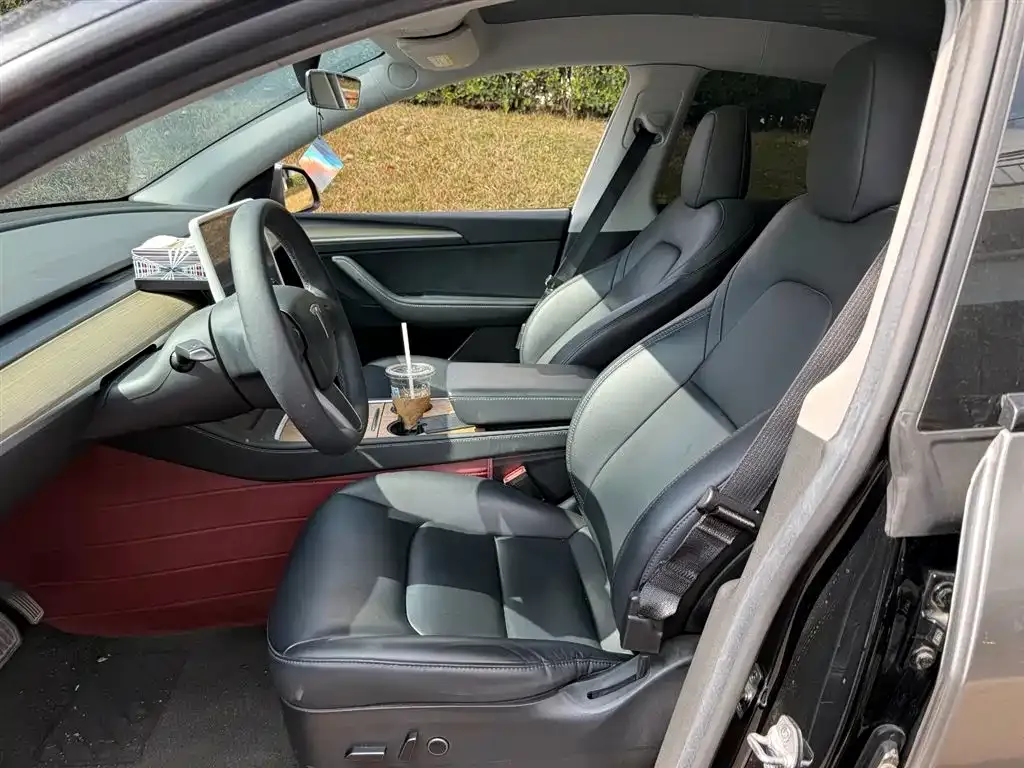 Tesla Model Y — фото 2