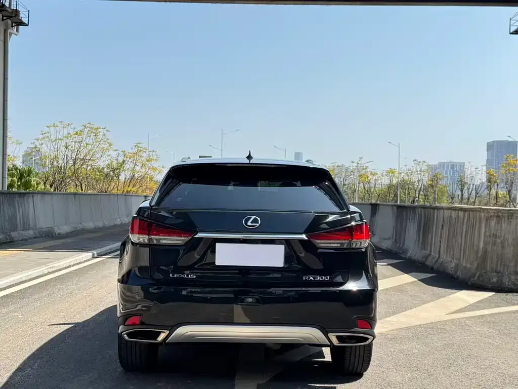 Lexus RX — фото 9