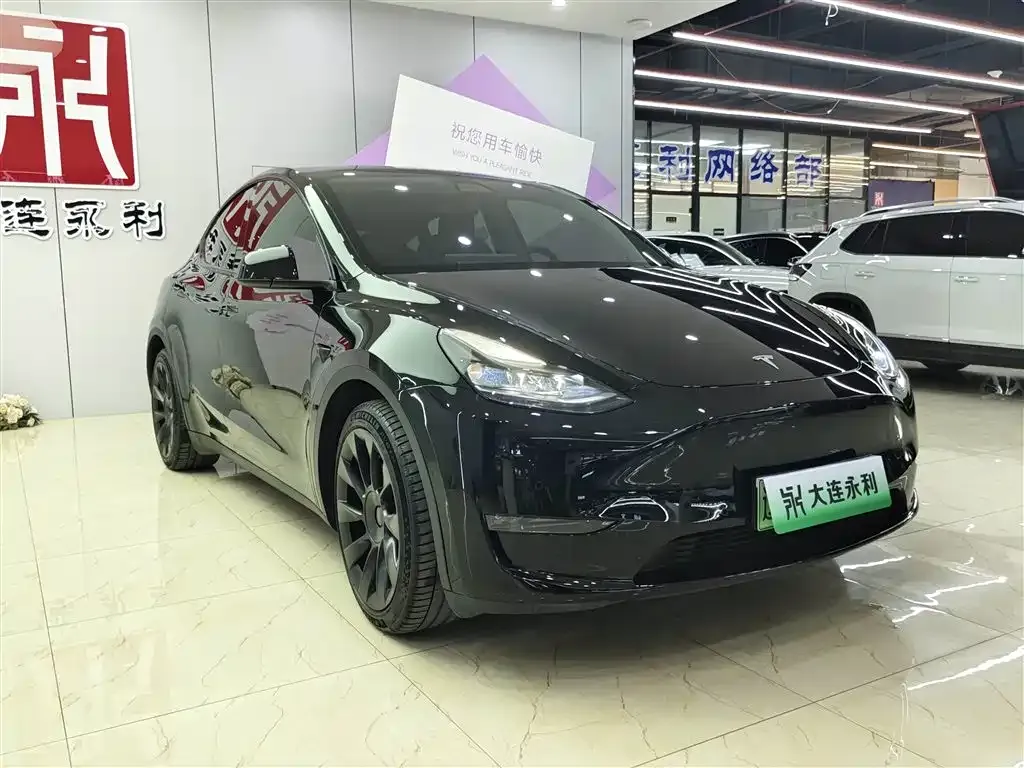 Tesla Model Y — фото 2