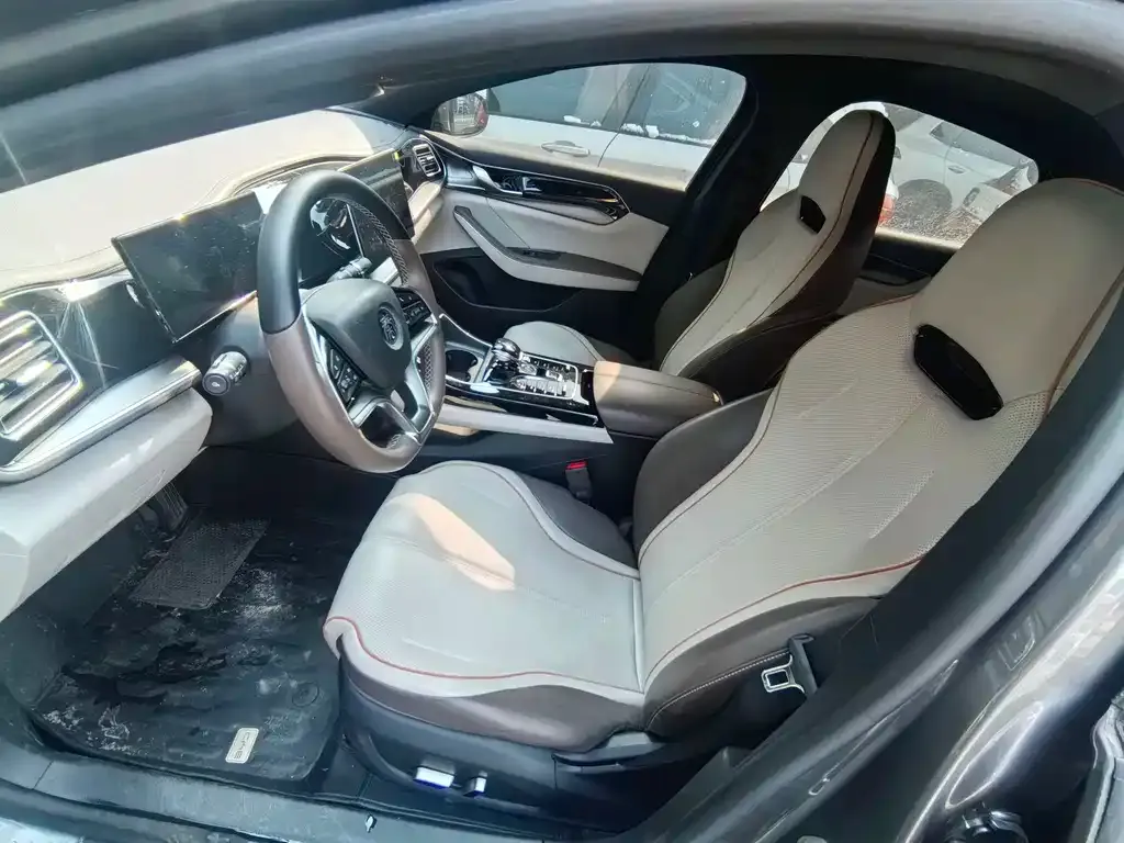 BYD Qin PLUS — фото 10