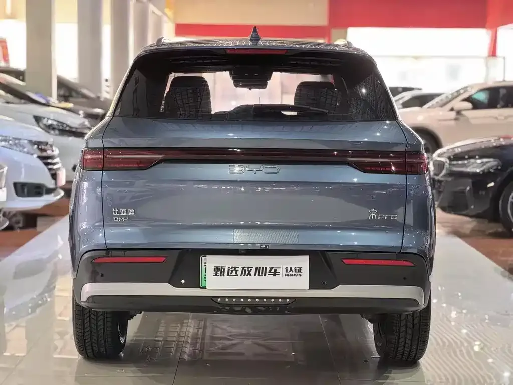 BYD Pro New Energy — фото 8