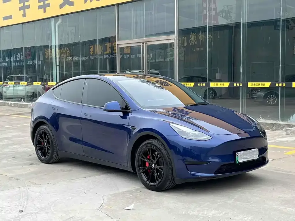 Tesla Model Y — фото 10
