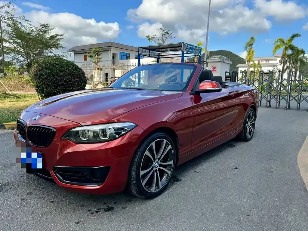 BMW 2 Series (Import) 2021 из CN, фото 1