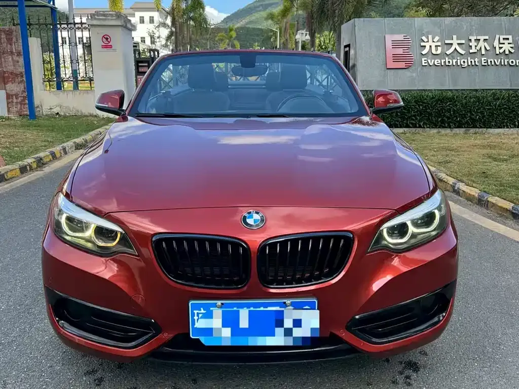 BMW 2 Series (Import) 2021 из CN, фото 4