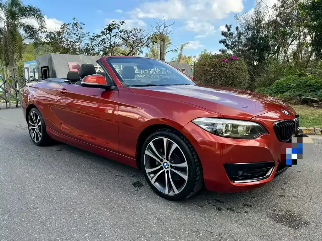 BMW 2 Series (Import) 2021 из CN, фото 8
