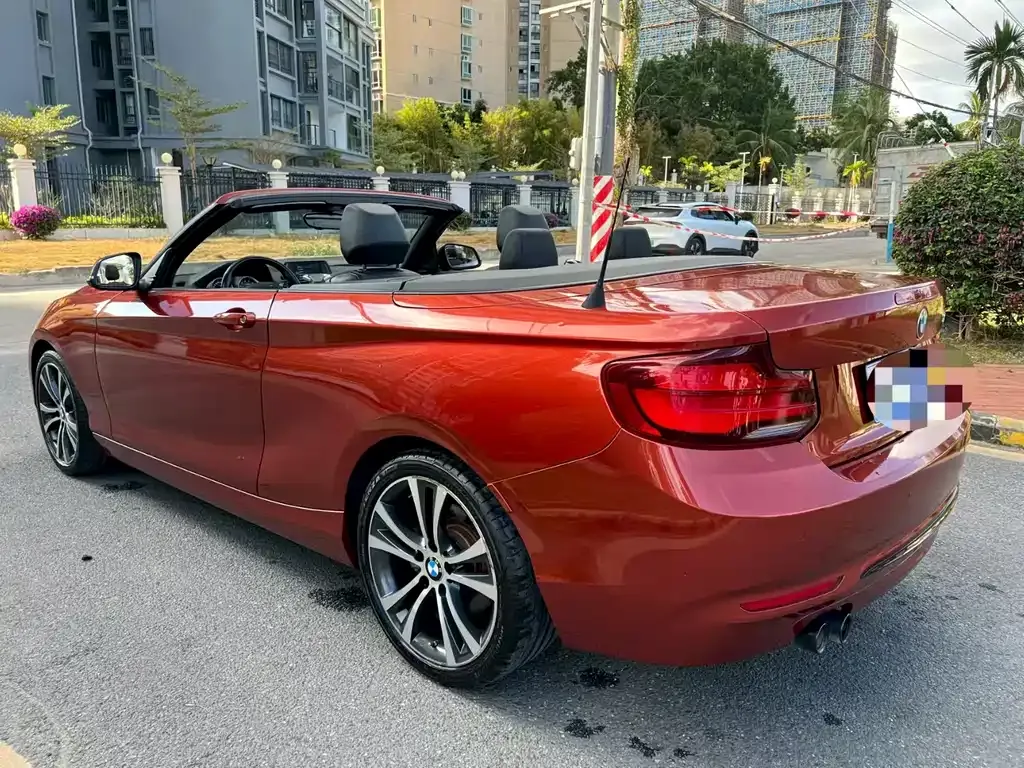 BMW 2 Series (Import) 2021 из CN, фото 6