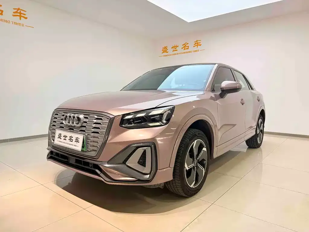 Audi Q2L e-tron 2022 из CN, фото 1