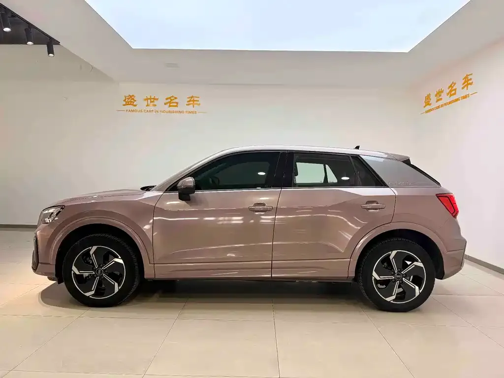 Audi Q2L e-tron 2022 из CN, фото 2