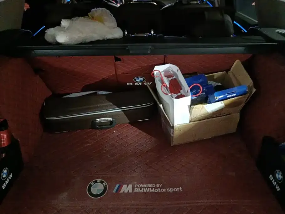 BMW X3 2021 из CN, фото 9