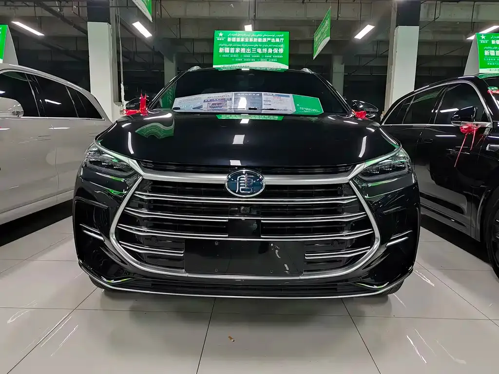 BYD Tang New Energy 2021 из CN, фото 2
