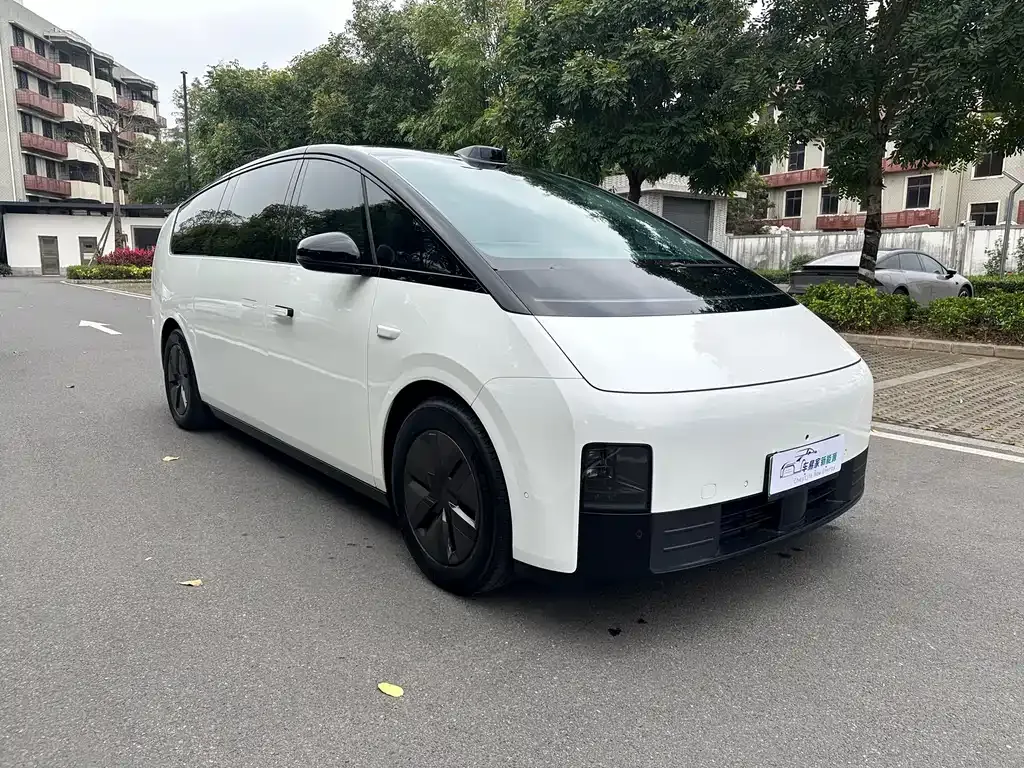 Li Auto Li MEGA 2024 из CN, фото 9