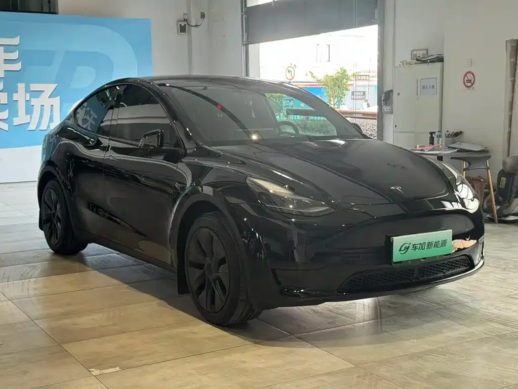 Tesla Model Y — фото 2