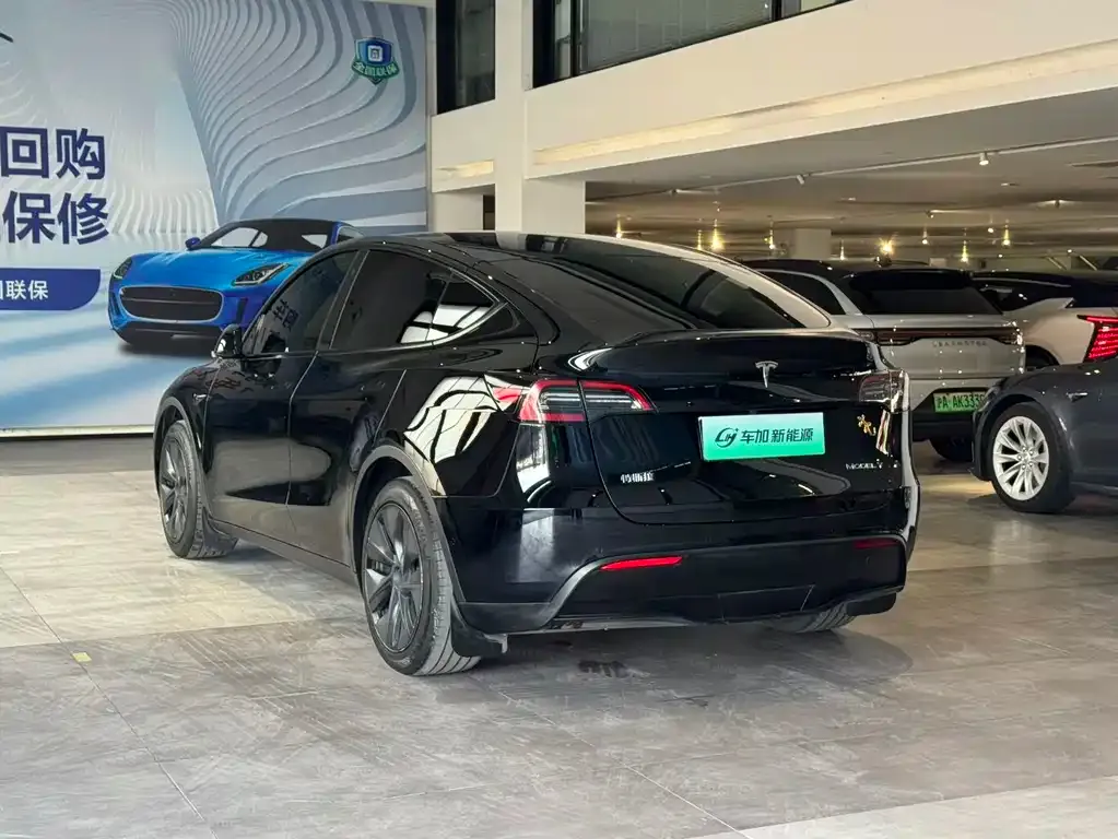 Tesla Model Y — фото 5