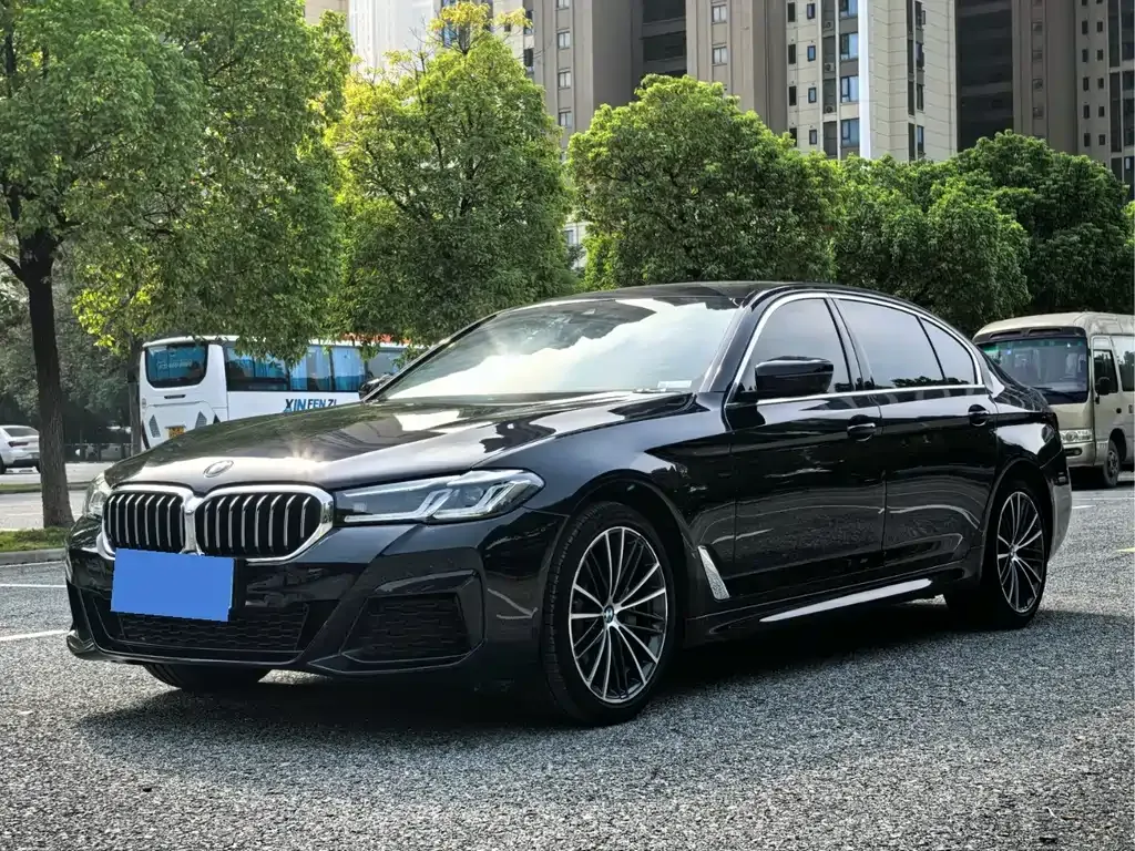 BMW 5 Series 2022 из CN, фото 1